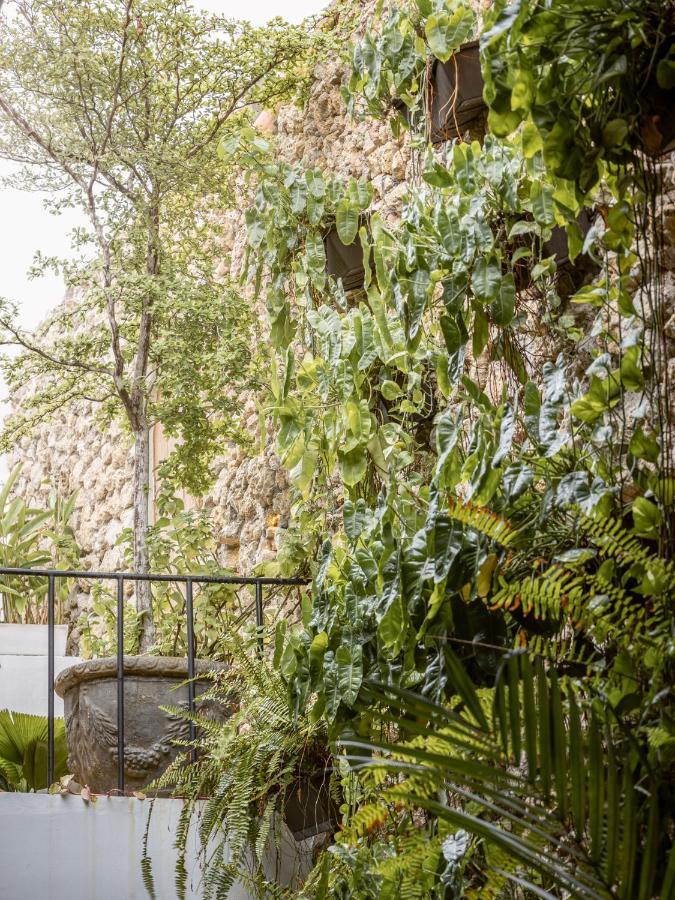 New Private 3 Bedroom Casa In The Old With Ensuite Bathrooms And Plunge Pool *